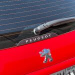 وردپلیت عقب 206 / 207